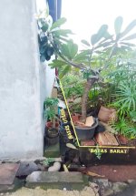 Tanah Dijual di Ceger Cipayung Jakarta Timur Dekat Taman Mini, Green Terrace TMII, RSUD Cipay...jpeg