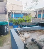 Rumah Dijual di Perumahan Taman Aster Cikarang Barat Dekat Gerbang Tol Telaga Asih, RSUD Kabu...jpeg