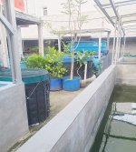 Rumah Dijual di Perumahan Taman Aster Cikarang Barat Dekat Gerbang Tol Telaga Asih, RSUD Kabu...jpeg