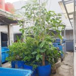 Rumah Dijual di Perumahan Taman Aster Cikarang Barat Dekat Gerbang Tol Telaga Asih, RSUD Kabu...jpeg