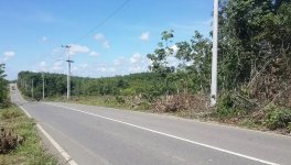 Dijual Tanah di Murung Pudak Tabalong Kalimantan Selatan Dekat Danau Tanjung Puri Indah, Air T...jpg