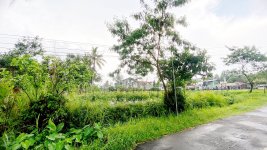 Jual Tanah di Pakem Sleman Yogyakarta Dekat Pasar Pakem, Universitas Islam Indonesia, Agro Wi...jpeg