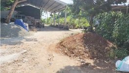 Tanah Dijual BU di Jl. Raya Tayu Pati Dekat SMA Negeri 1 Tayu, RS Keluarga Sehat Tayu, RS Sebe...jpg