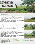 Jual Tanah di Sayung Demak Jawa Tengah Dekat Jateng Land Industrial Park Sayung Demak, Pasar ...jpeg