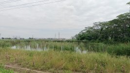 Jual Tanah di Sayung Demak Jawa Tengah Dekat Jateng Land Industrial Park Sayung Demak, Pasar ...jpeg