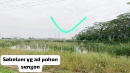 Jual Tanah di Sayung Demak Jawa Tengah Dekat Jateng Land Industrial Park Sayung Demak, Pasar ...jpeg