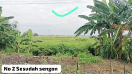 Jual Tanah di Sayung Demak Jawa Tengah Dekat Jateng Land Industrial Park Sayung Demak, Pasar ...jpeg