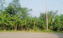 Jual Tanah 4.000 m2 di Sajira Lebak Banten Dekat Alun-Alun Sajira, Pasar Sajira, SMA Negeri 1 ...jpg