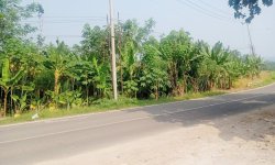 Jual Tanah 4.000 m2 di Sajira Lebak Banten Dekat Alun-Alun Sajira, Pasar Sajira, SMA Negeri 1 ...jpg