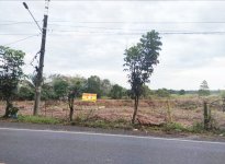 Jual Tanah di Jl. Ahmad Yani, Tanah Laut, Kalimantan Selatan Dekat SMA Negeri 1 Tambang Ulang...jpeg