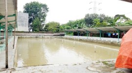 Jual Tanah di Kasemen Serang Banten Dekat SMPN 26 Kota Serang, SMKN 6 Kota Serang, RSUD Kota ...jpeg