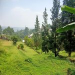 Jual Tanah di Cisarua Puncak Bogor Dekat Ujung Rimba Camp, Curug Cilember, Rumah Makan Bumi A...jpeg