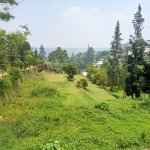 Jual Tanah di Cisarua Puncak Bogor Dekat Ujung Rimba Camp, Curug Cilember, Rumah Makan Bumi A...jpeg