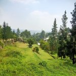 Jual Tanah di Cisarua Puncak Bogor Dekat Ujung Rimba Camp, Curug Cilember, Rumah Makan Bumi A...jpeg