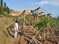 Jual Tanah dan Kebun Apel Produktif di Kota Batu Jawa Timur Dekat Wisata Gunung Pucung, Taman...jpeg