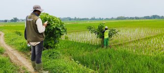 Jual Tanah di Cibolerang Jatiwangi Majalengka Dekat Pasar Ciborelang, SMA Negeri 1 Jatiwangi,...jpeg