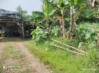 Jual Tanah di Tamansari Bogor Dekat Pasar Tamansari Bogor, SMA Negeri 1 Tamansari, The Highla...jpeg