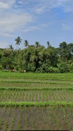 Screenshot_20260426_155637_Maps (1).jpg