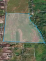 Screenshot_20260426_150951_Chrome (1).jpg