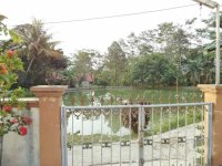 Jual Rumah di Cibungbulang Bogor Dekat SMA Negeri 1 Cibungbulang, SMP Negeri 2 Cibungbulang, ...jpeg