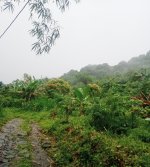Tanah Dijual di Buleleng Bali 0002.jpeg