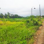 Tanah Dijual di Yogyakarta Dekat UNRIYO, UPN Veteran Yogyakarta, Pakuwon Mall Jogja 0001.jpg