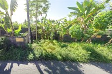 Jual Tanah di Gianyar Bali Dekat RS Kasih Ibu Saba, Pantai Saba, Pantai Keramas, Ubud Bali, Th...jpg