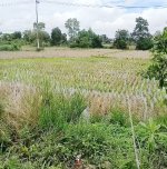 Tanah Dijual di Banjar Kalimantan Selatan 0001 .jpg