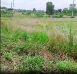 Tanah Dijual di Banjar Kalimantan Selatan 0002.jpg