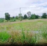 Tanah Dijual di Banjar Kalimantan Selatan 0003.jpg