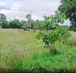 Tanah Dijual di Banjar Kalimantan Selatan 0004.jpg