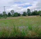 Tanah Dijual di Banjar Kalimantan Selatan 0005.jpg
