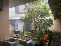 Rumah Dijual di Semarang Dekat Paragon City Mall, DP Mall, UIN Walisongo 0014.jpeg