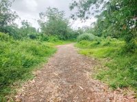 Jual Tanah di Jasinga Bogor Dekat SDN Koleang 03 Jasinga, Puskesmas Koleang, Pasar Jasinga 0012.jpg