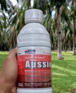 IMG-20241101-WA0024.png