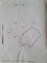 IMG-20250814-WA0006.jpg