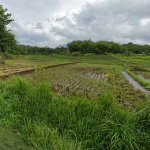 lahan leuwigoong garut4.jpg