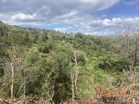 For Sale Premium Land with Ocean Views in Buleleng, Bali 0022.jpeg