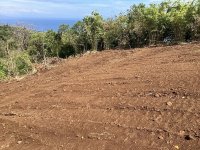 For Sale Premium Land with Ocean Views in Buleleng, Bali 0029.jpeg