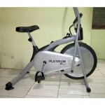 platinum_bike_111014121049_ll.jpg.jpg