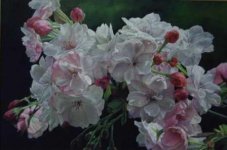 Bunga  Sakura, oil on canvas, 100x150cm.jpg