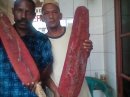 BUAH MERAH WAMENA 081280396464.jpg