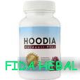 Hoodia.jpg